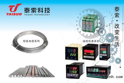 浙江泰索科技 智能感知驅(qū)動未來，物聯(lián)網(wǎng)科技點亮行業(yè)革新